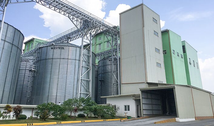 Industrial flour mill turnkey project