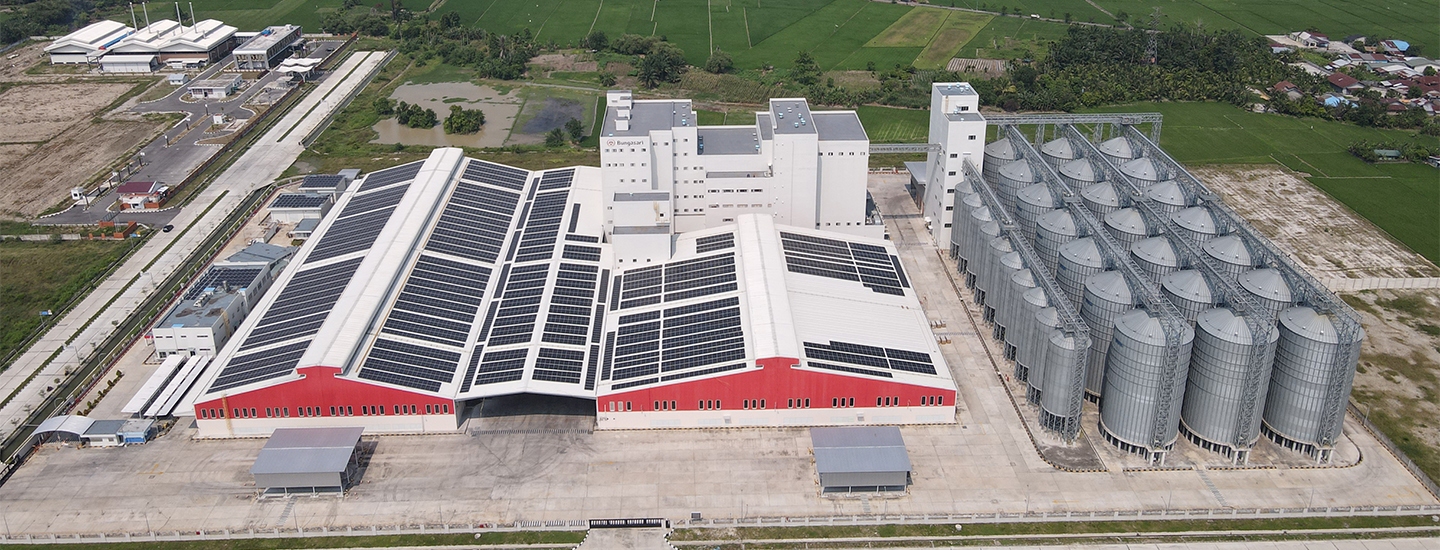 Bungasari 3x500TPD and 2x150TPD turnkey flour mill project in Medan Indonesia